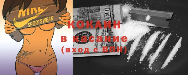 прущие грибы Белокуриха