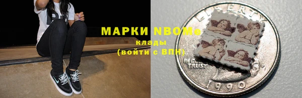 прущие грибы Белокуриха