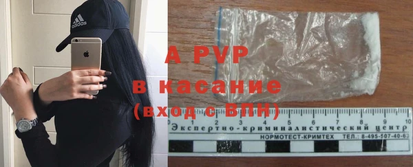 прущие грибы Белокуриха