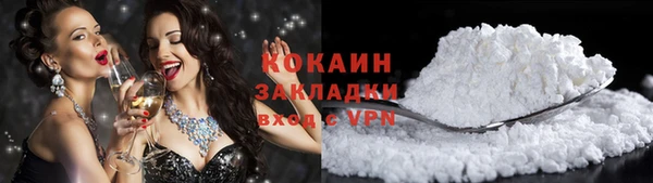 прущие грибы Белокуриха
