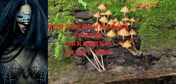 прущие грибы Белокуриха