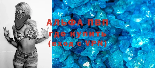 прущие грибы Белокуриха