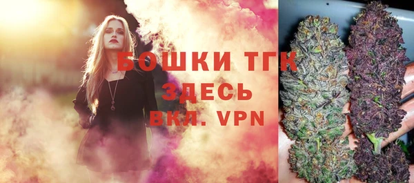 прущие грибы Белокуриха