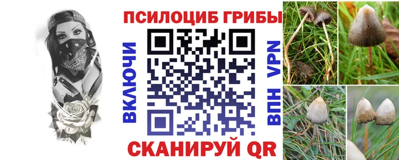 Псилоцибиновые грибы Psilocybine cubensis  Ярцево 